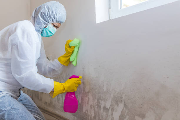 Best Industrial Mold Remediation  in Mount Carmel, TN